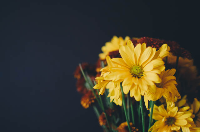 dzelteni-ziedi